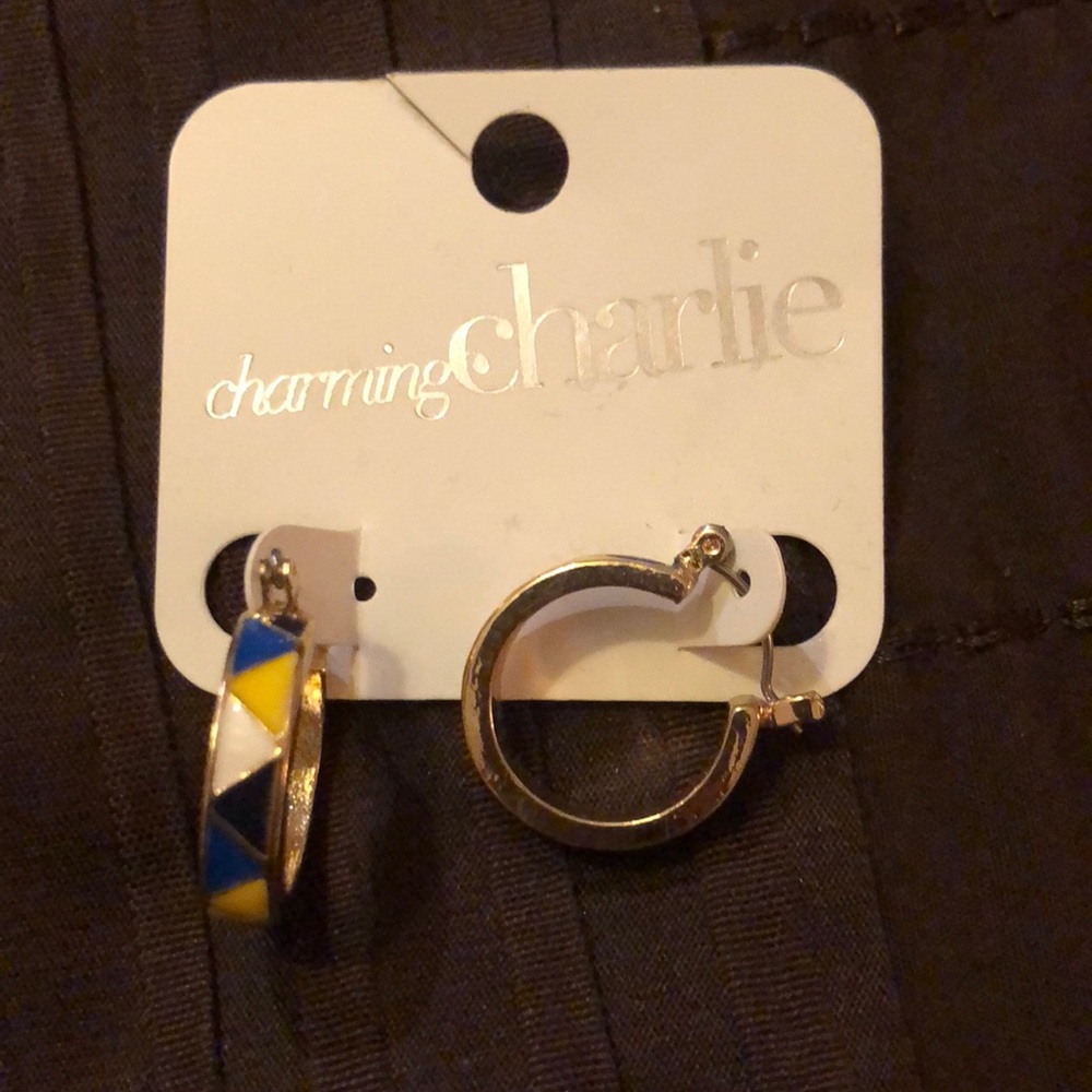 Charming Charlie Small Hoop Earrings